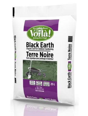 Terre noire