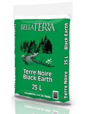 Terre noire