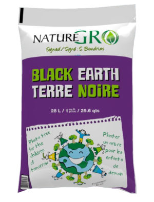 Terre noire
