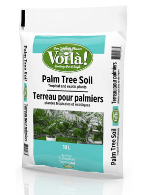 Terreau à palmiers